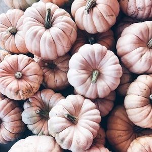 Meet your Posher, Ava